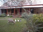 LIEBELT HOUSE B&B